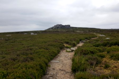 Simon's Seat