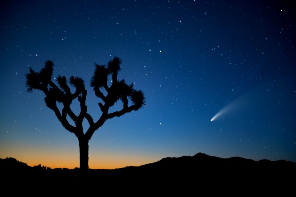 Comet NEOWISE over Queen Valley