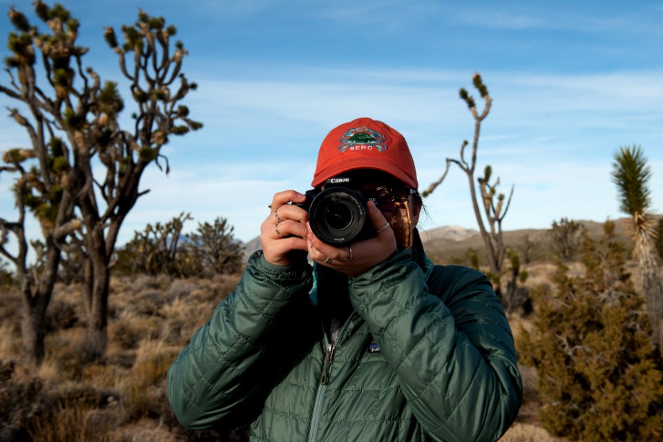 Hiking in the Mojave Preserve Joshua Trees