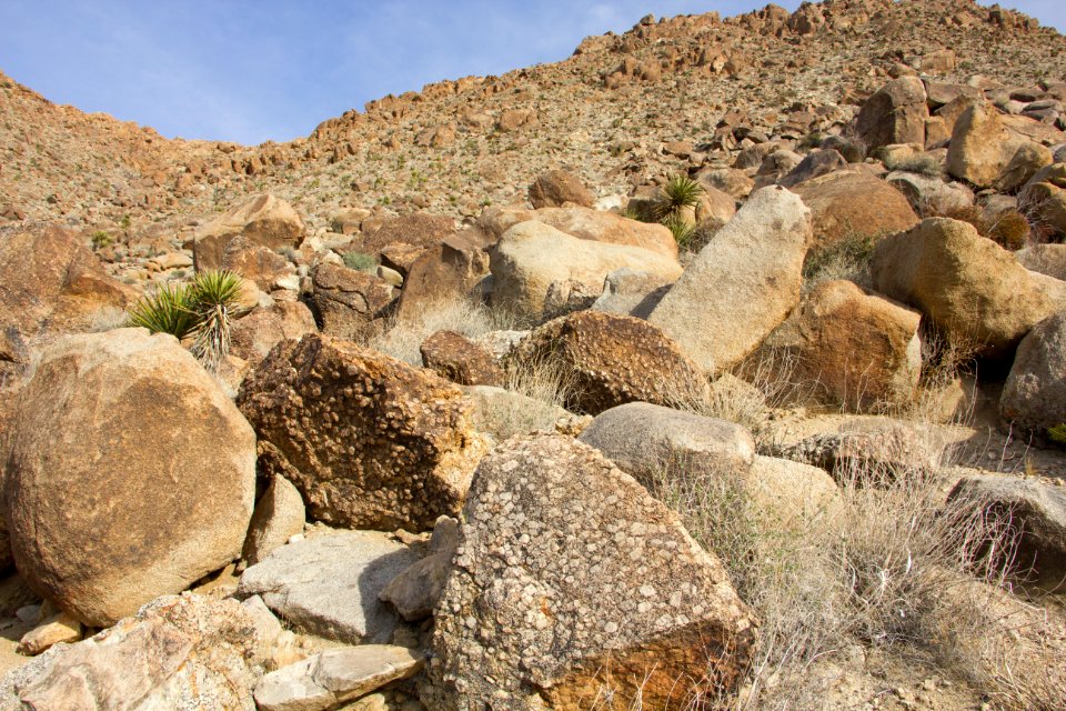 Boulder field at Rattlesnake Canyon
