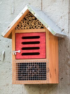 Insect box insect protection apartment