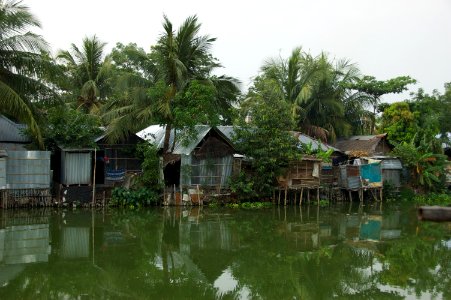 Water pollution