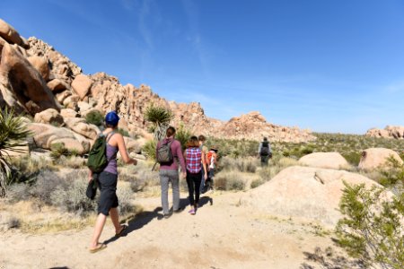 Ranger-led volunteer event in Indian Cove