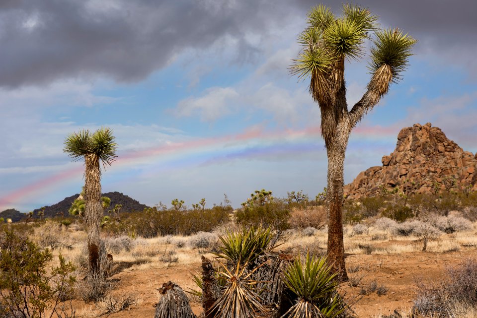 Rainbow near the West Entrance photo