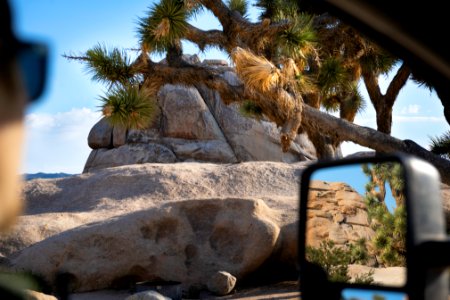Park ranger in Hidden Valley Campground