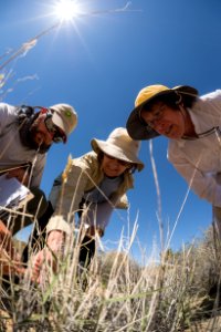 Earthwatch Volunteers Work with Park Resource Managers to Study Climate Change photo