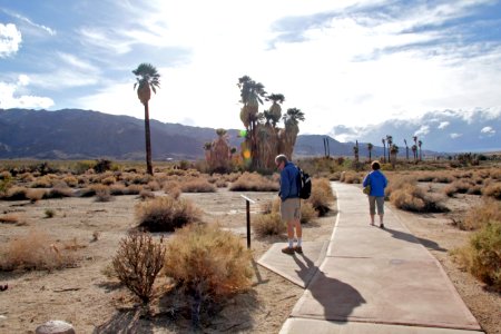 Nature trail at Oasis of Mara