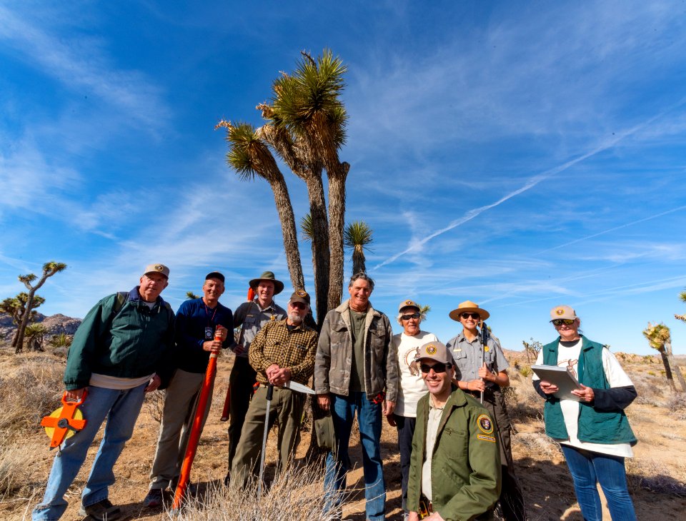 Volunteers during a Joshua Tree Monitoring.