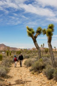 Hiking the Ryan Ranch Trail
