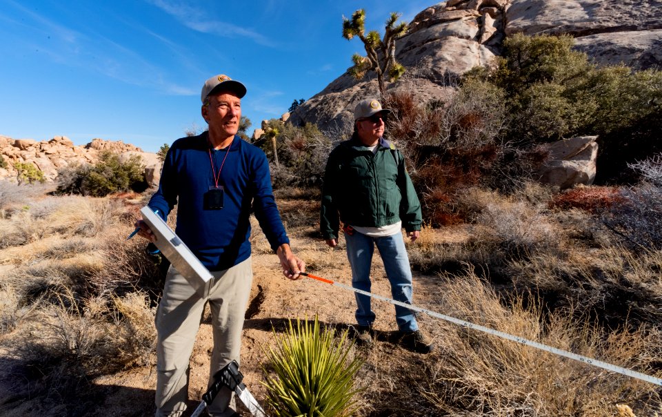 Volunteers during a Joshua Tree Monitoring.