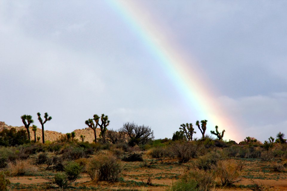 Rainbow on a stormy day