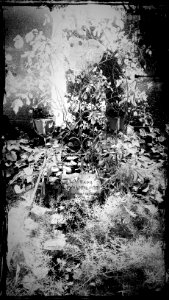 Respect.Tombe du Poilu