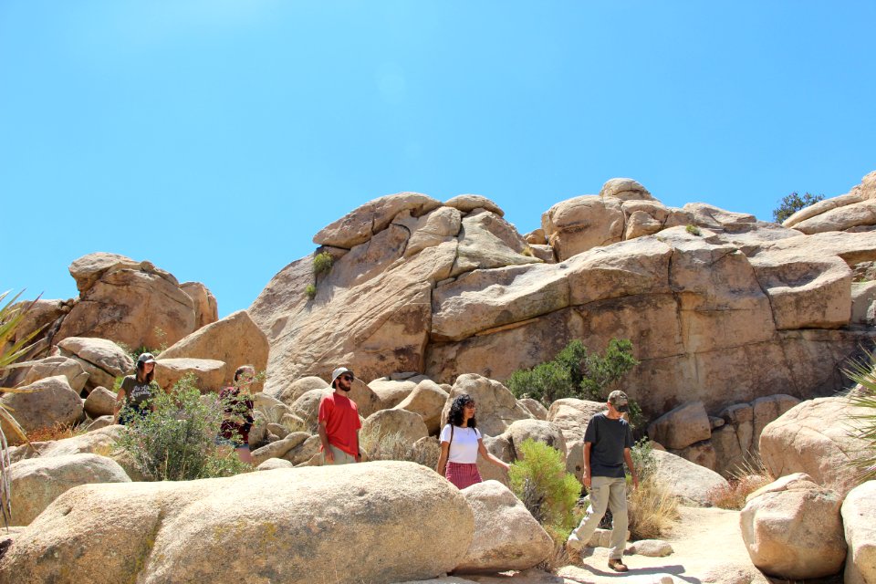 Hikers on a trail
