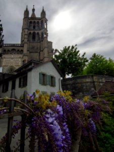 cathédrale de Lausanne