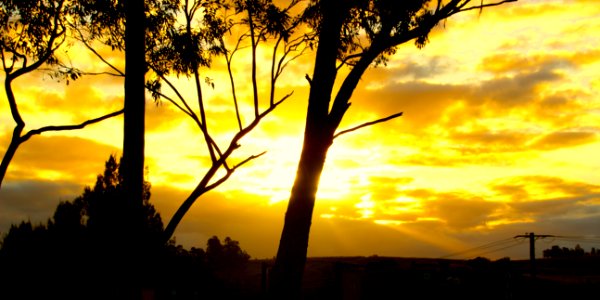 Sunset in Hunter Valley