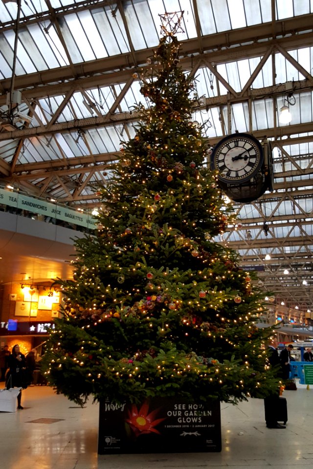 Waterloo Christmas Tree