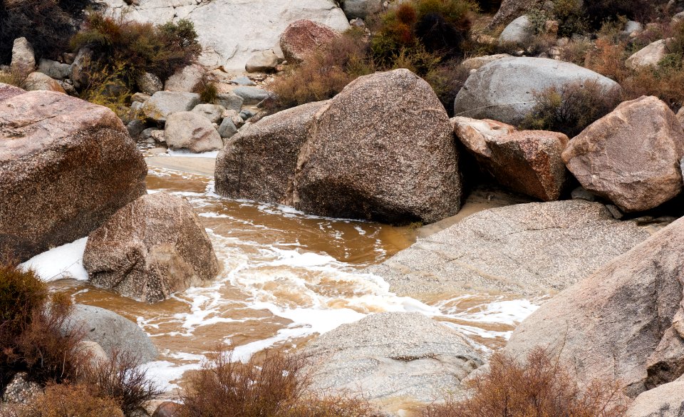 Rattlesnake Canyon in the rain