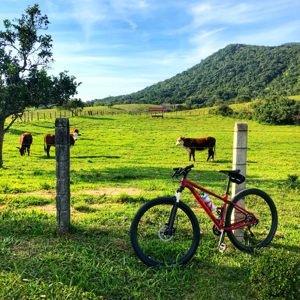 Pedalando pela urbe.