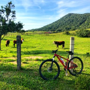 Pedalando pela urbe.
