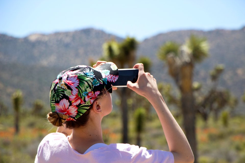 Smartphone photography in Joshua Tree