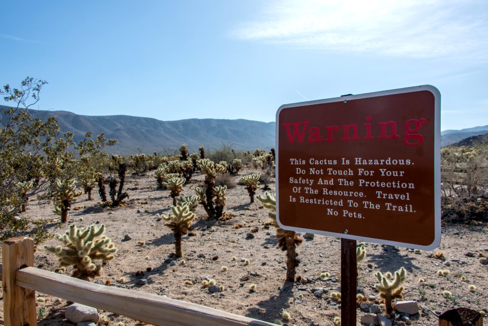 Warning at Cholla Catus Garden