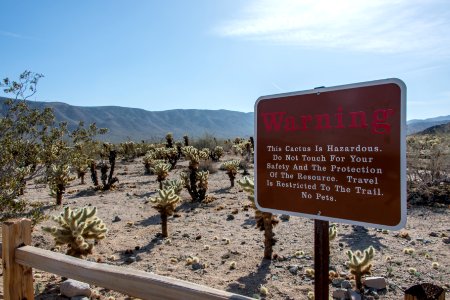 Warning at Cholla Catus Garden photo