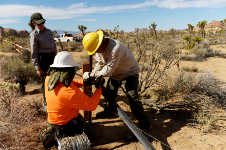 SCC Restoration at Keys Ranch