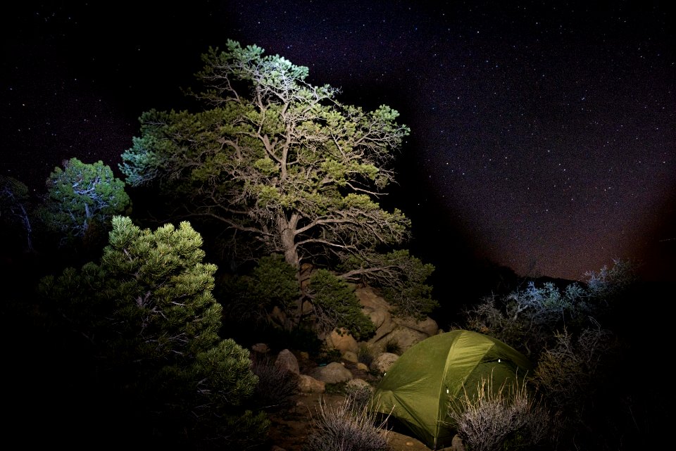 Backcountry campsite between Juniper Flats and Covington Flat