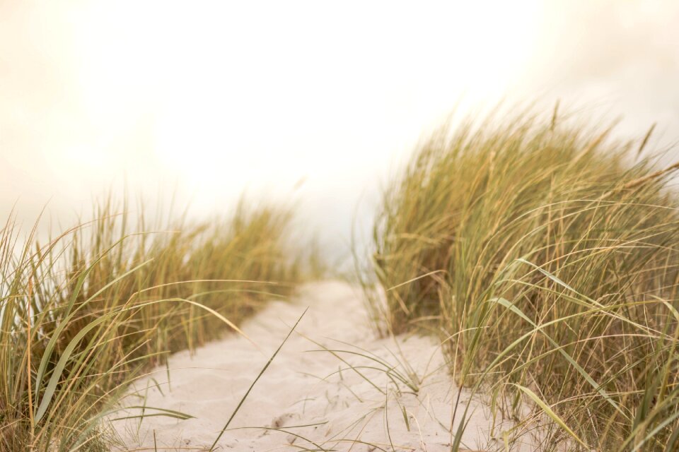 Nature summer coastal