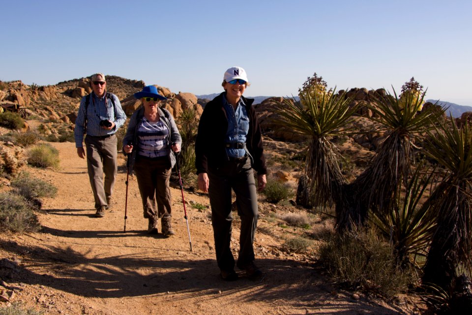 Hiking the Mastodon