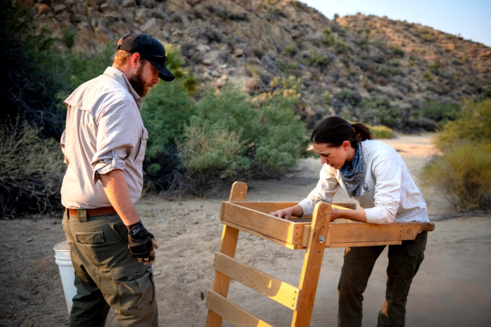 Park rangers performing archaeology surveys at Cottonwood Springs