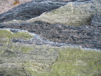 Gneiss photo