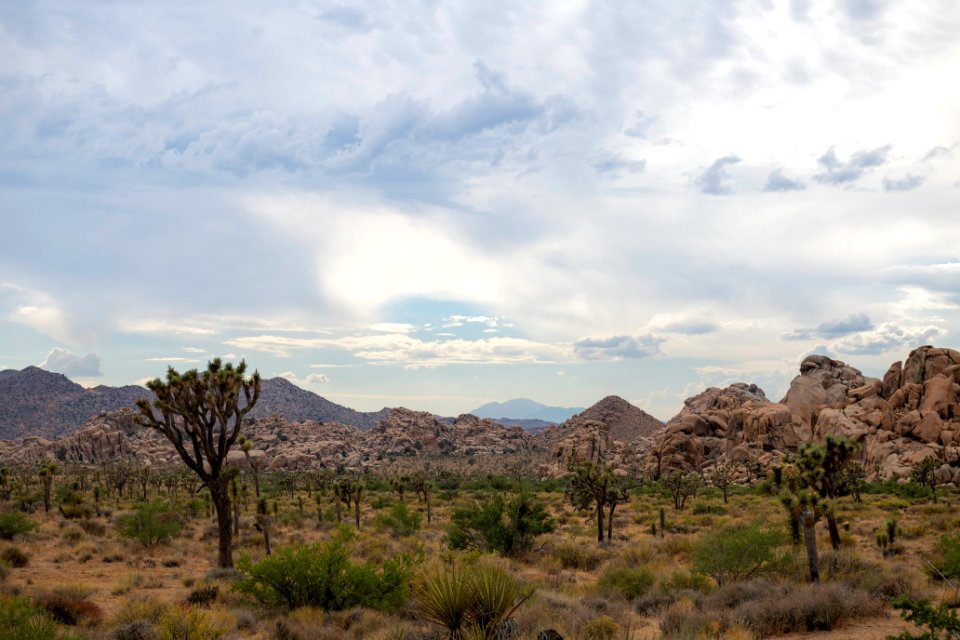 Monsoon clouds from Barker Dam Road