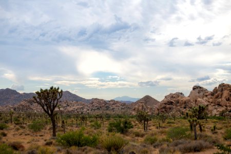 Monsoon clouds from Barker Dam Road