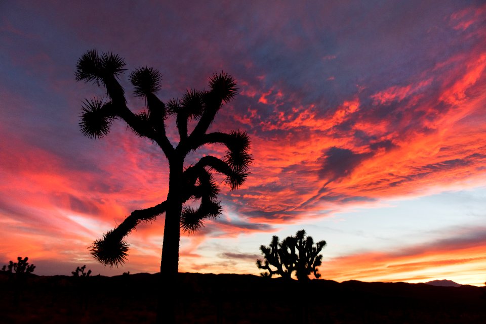 Sunset in Lost Horse Valley; 12/3/15 photo