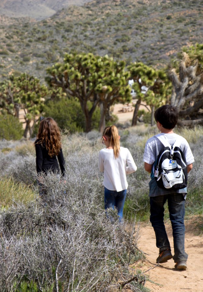 Students Hiking in Joshua Tree