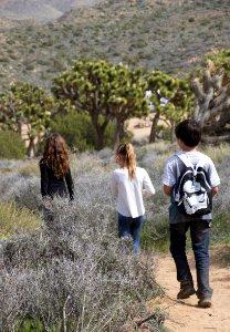 Students Hiking in Joshua Tree