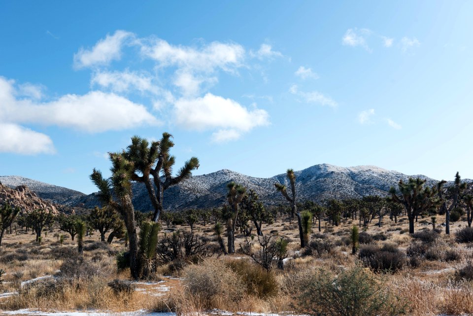 Snow capped desert mountains