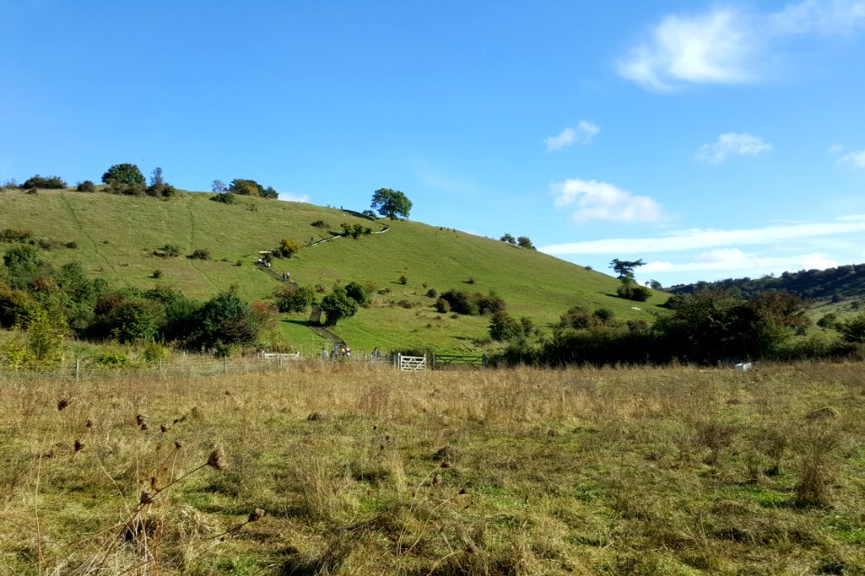 St Catherine's Hill, Winchester