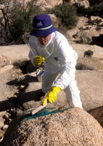 Scrubbing graffiti off of rocks!
