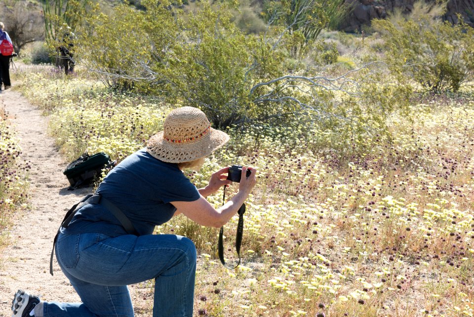 Photographer