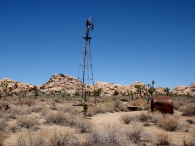 Desert Queen Well