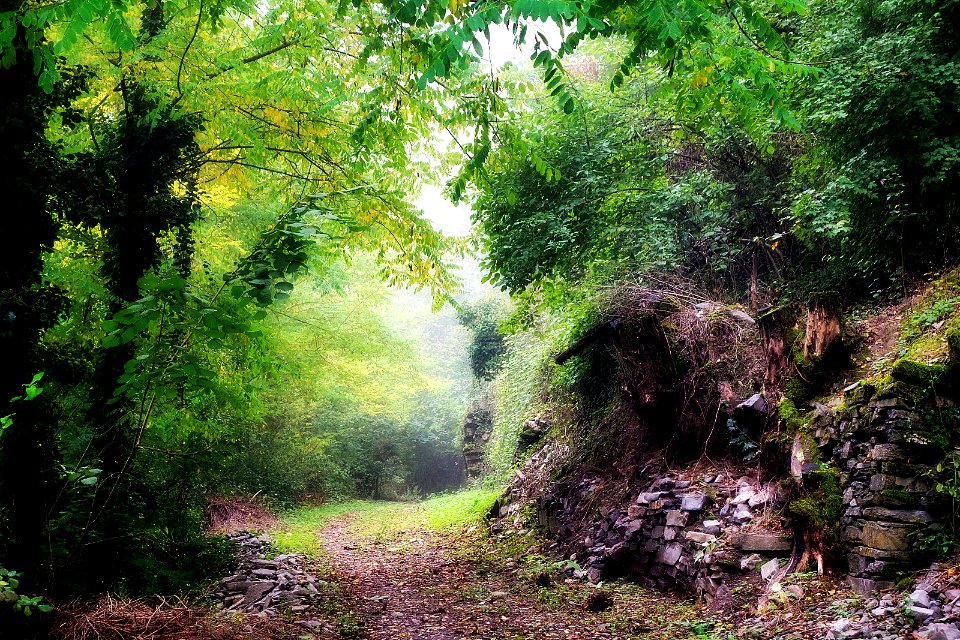 Chemin des Barlettes