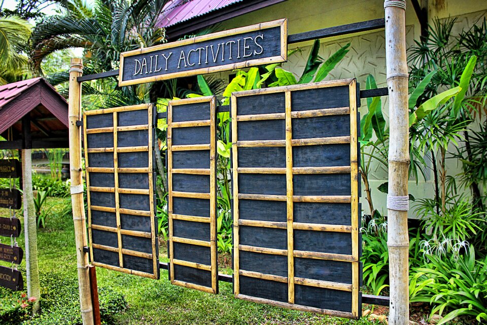 To do list vacations palm