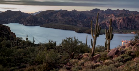 Lake and Cactus and Hills