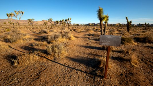 Minerva Hoyt Trailhead from Park Blvd.