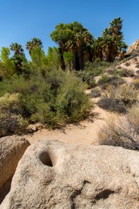 Prehistoric stone mortar near Cottonwood Spring Oasis