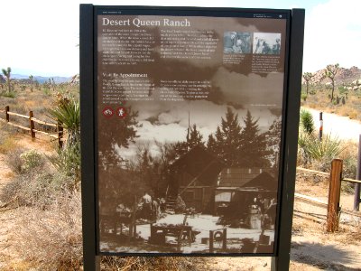 Joshua Tree Wayside circa early 2000s - Desert Queen Ranch