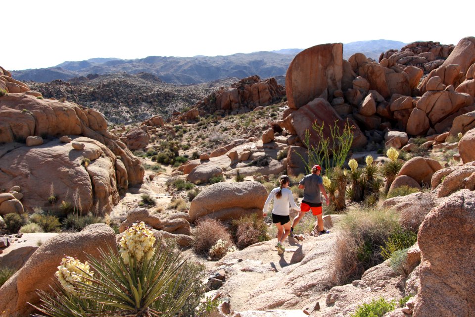 Hiking the Mastodon Mine Loop