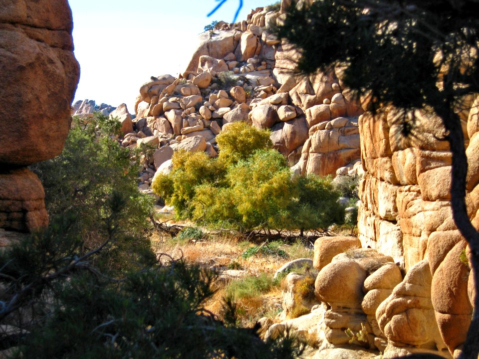Willow Hole